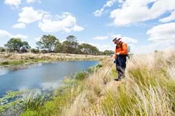 Landscape Management & Maintenance - Australian Ecosystems