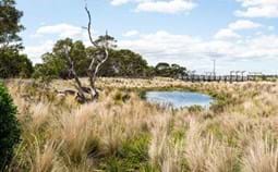 Landscape of the Year - Australian Ecosystems