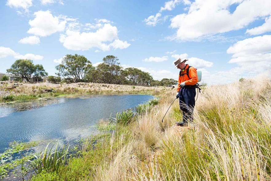 Australian Ecosystems - Connewarre Project