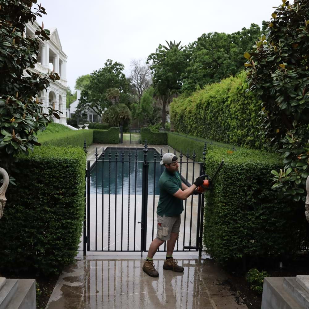 Residential Landscape Maintenance