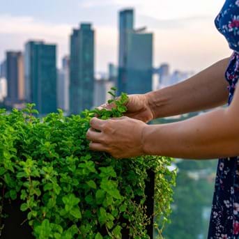 Verticalopolis: Rethinking the Australian Dream Through Landscape