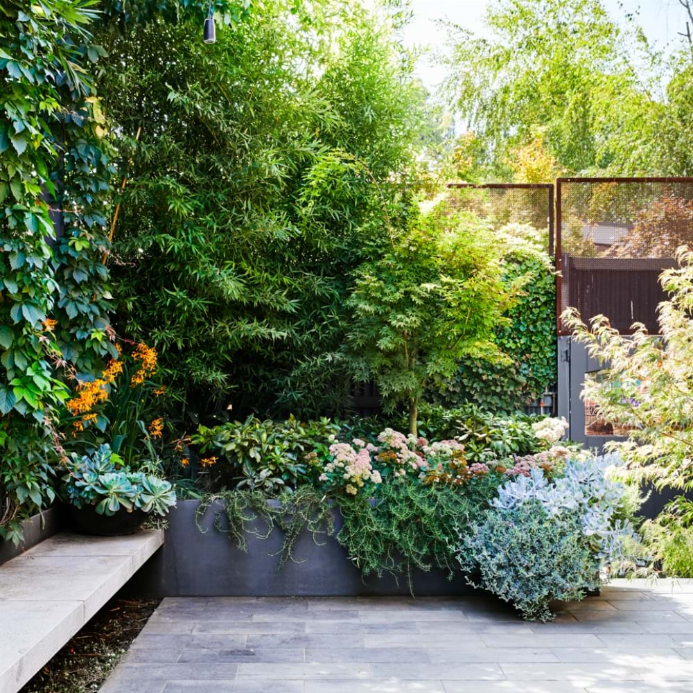 Residential Landscape Construction Up To $100K | Landscaping Victoria