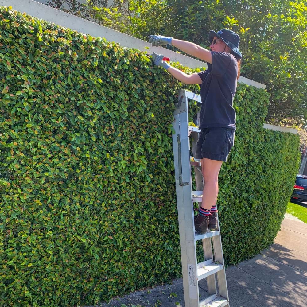 Apprentice Of The Year, Construction | Landscaping Victoria