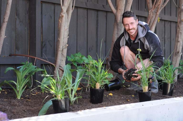 Apprentice of the Year (2018)