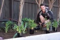 Apprentice of the Year (2018)