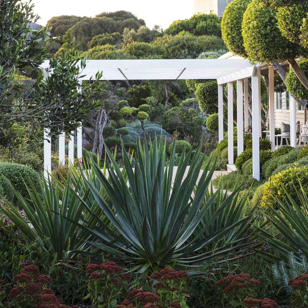 Landscape Of The Year | Landscaping Victoria