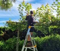 Apprentice of the Year - Horticulture, Parks and Gardens