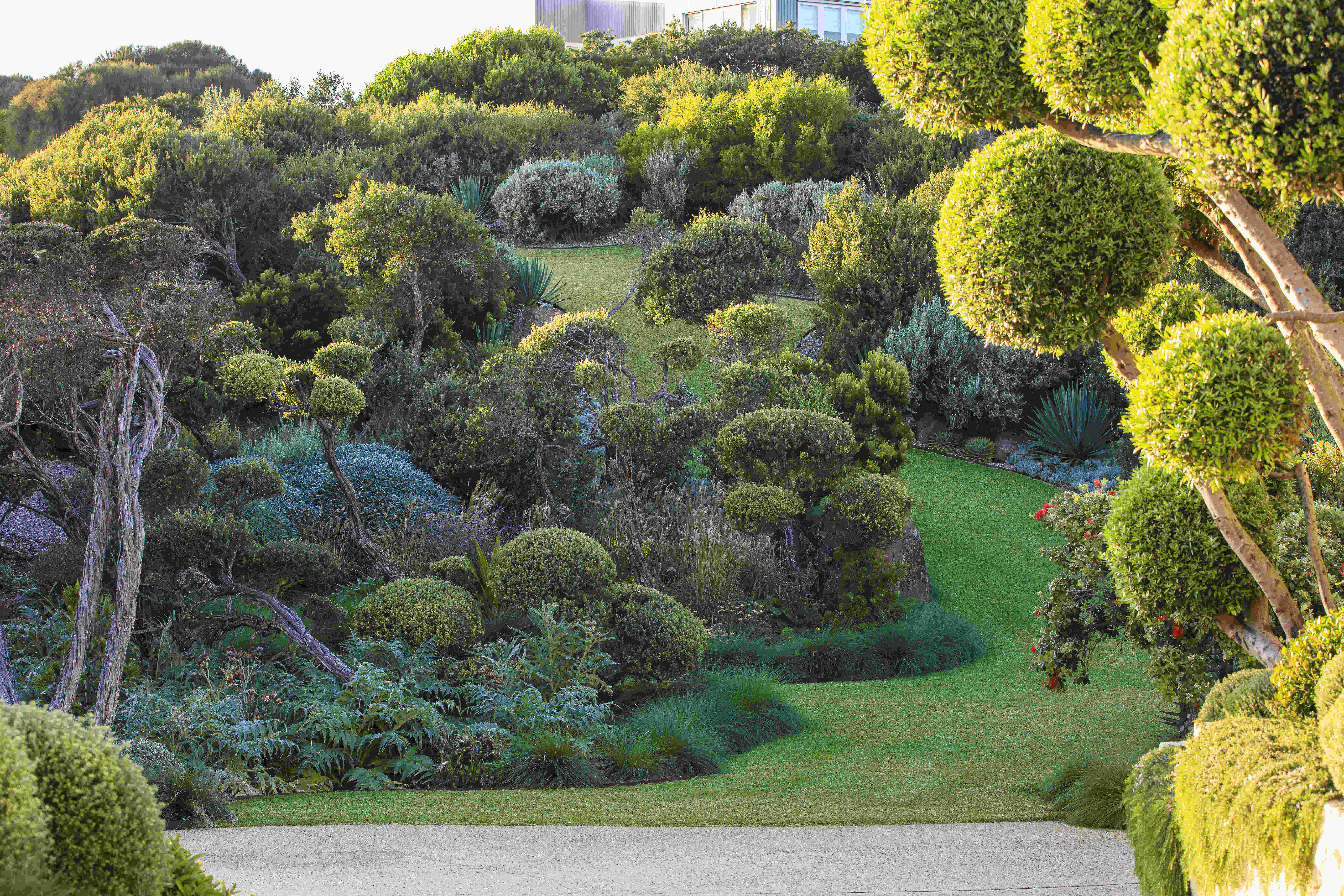 Softscaping in the Landscape