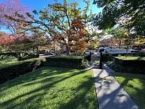 The Nic Van Diemen Award