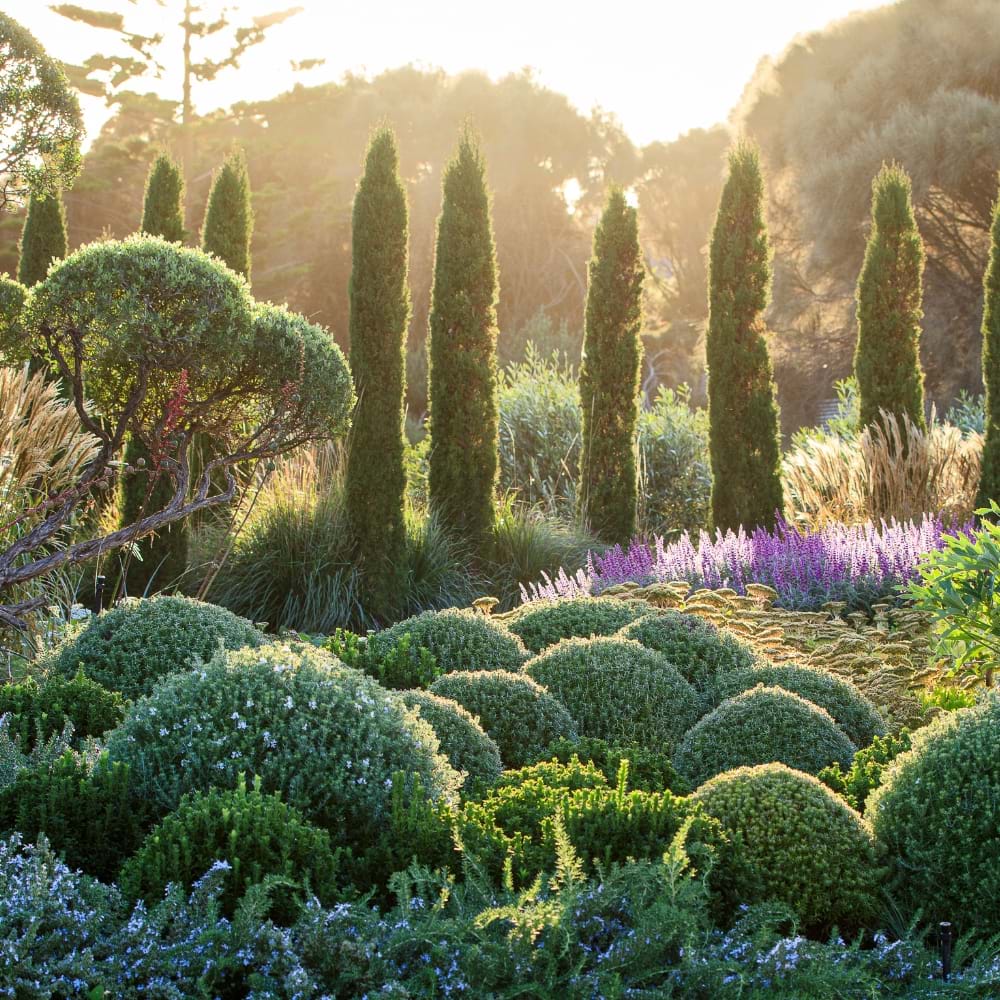 Softscaping In The Landscape | Landscaping Victoria