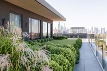 Softscaping in the Landscape