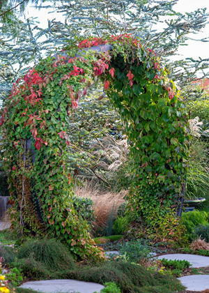Award-Winning Landscape Feature – The Cutting Hedge Landscaping