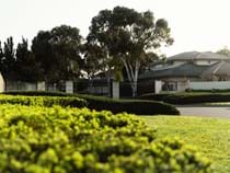 Landscape Management & Maintenance - Commercial