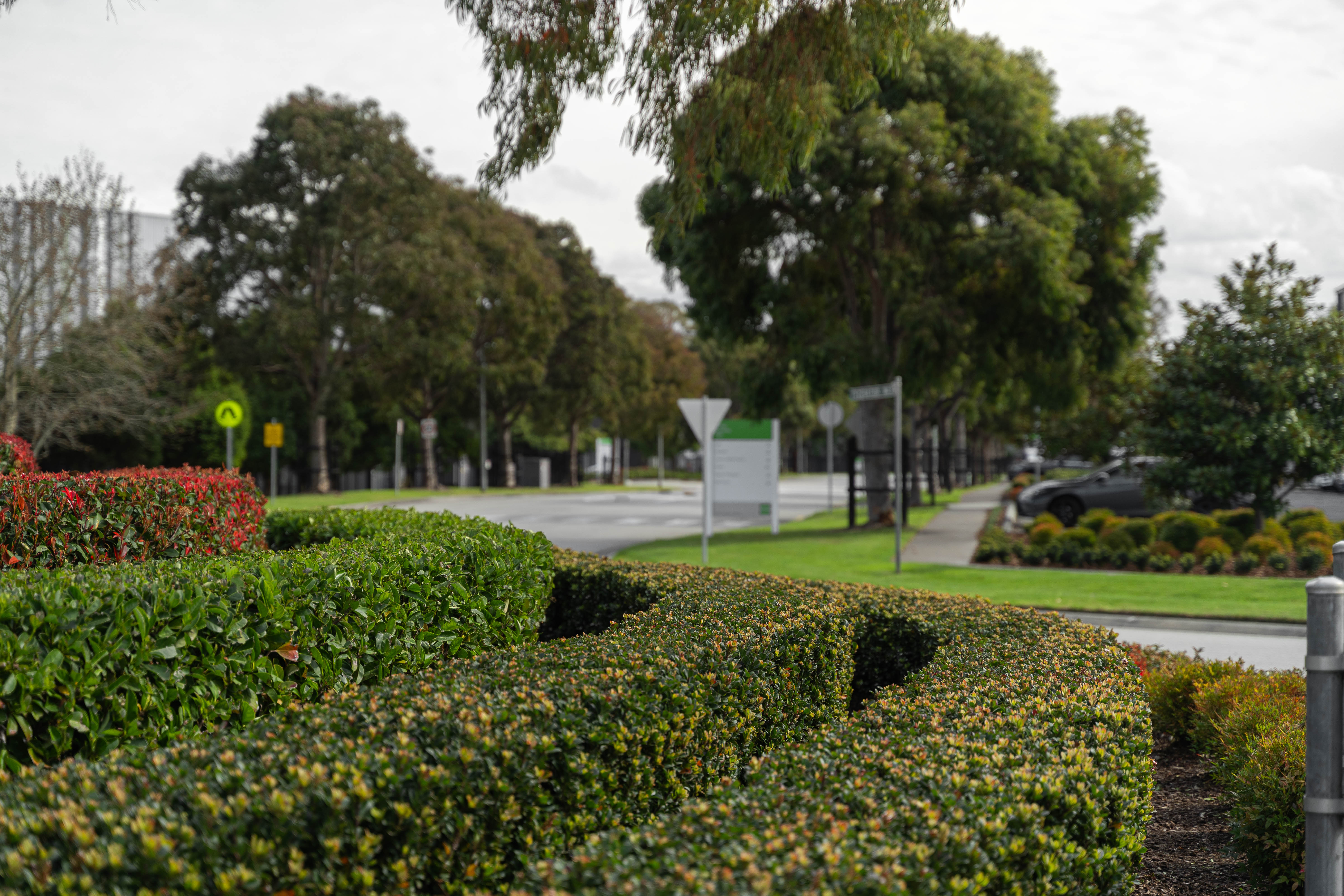 Landscape Management & Maintenance (Commercial)