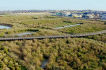 Sustainable Landscape