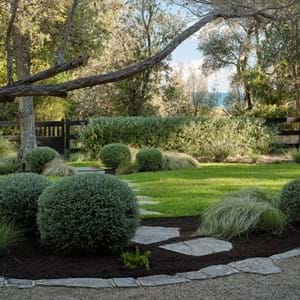 Coastal garden planting and curved pathways – Peninsula Project by COS Design