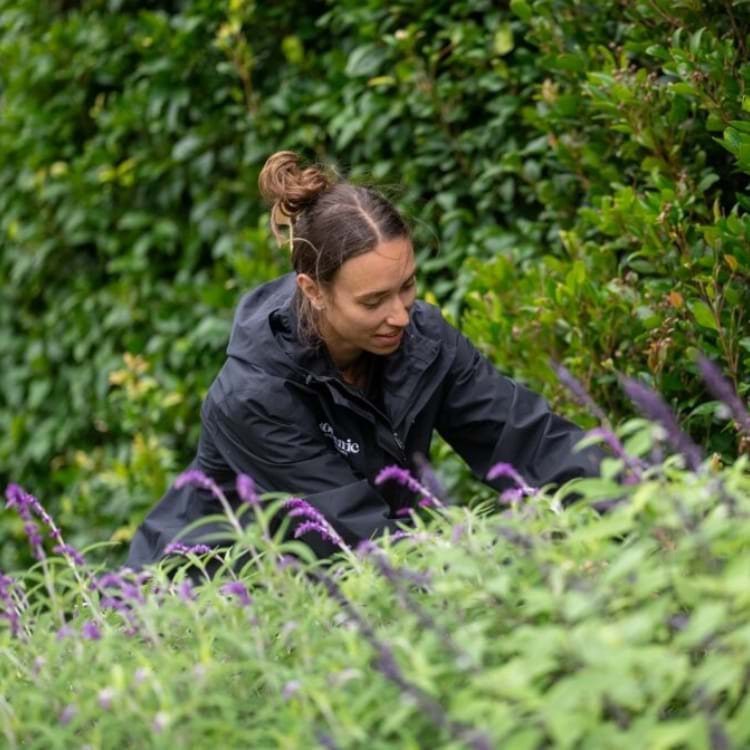 Deannah Wittmer, Botanic Horticulture - Apprentice of the Year - Horticulture, Parks and Gardens | Landscaping Victoria