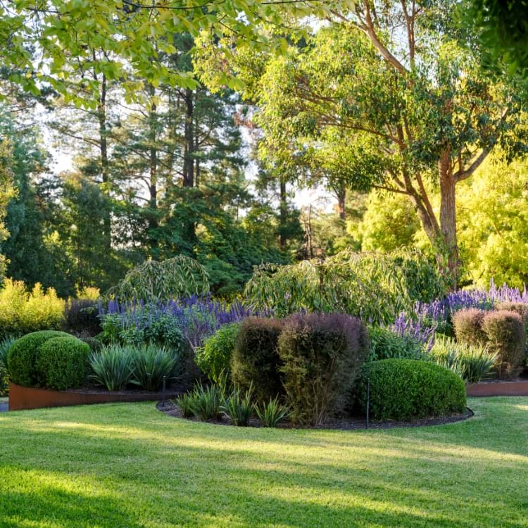 Esjay Landscapes + Pools - Park Orchards Project, Softscaping in the Landscape | Landscaping Victoria