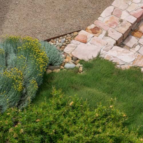 Find a professional landscaper in Victoria through Landscaping Victoria