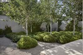 Residential Landscape Construction 100k - 300k