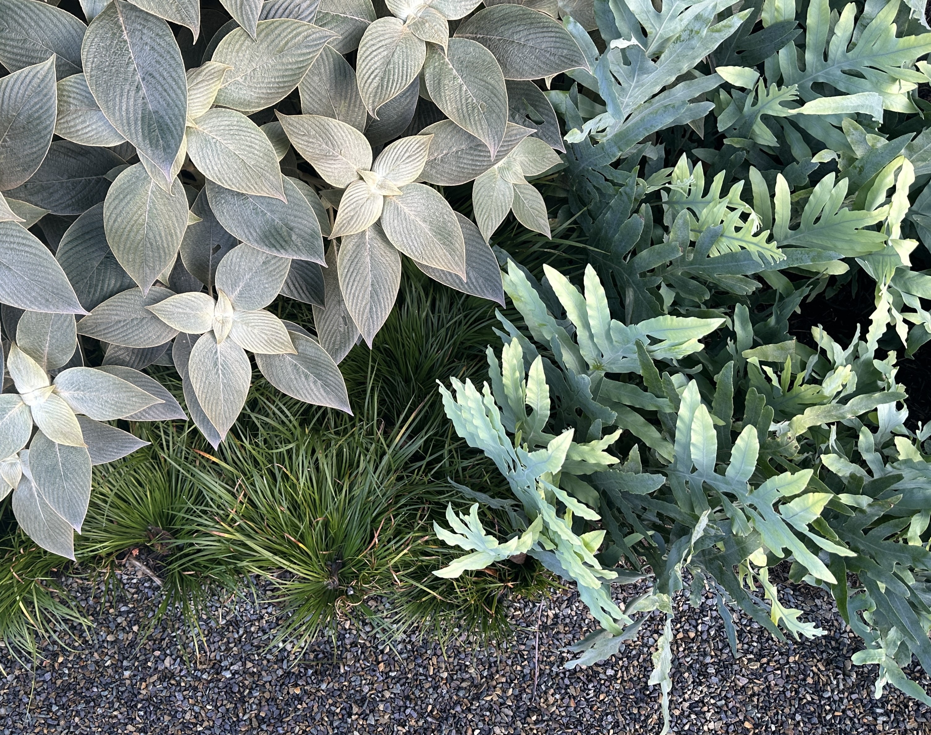 Softscaping in the Landscape