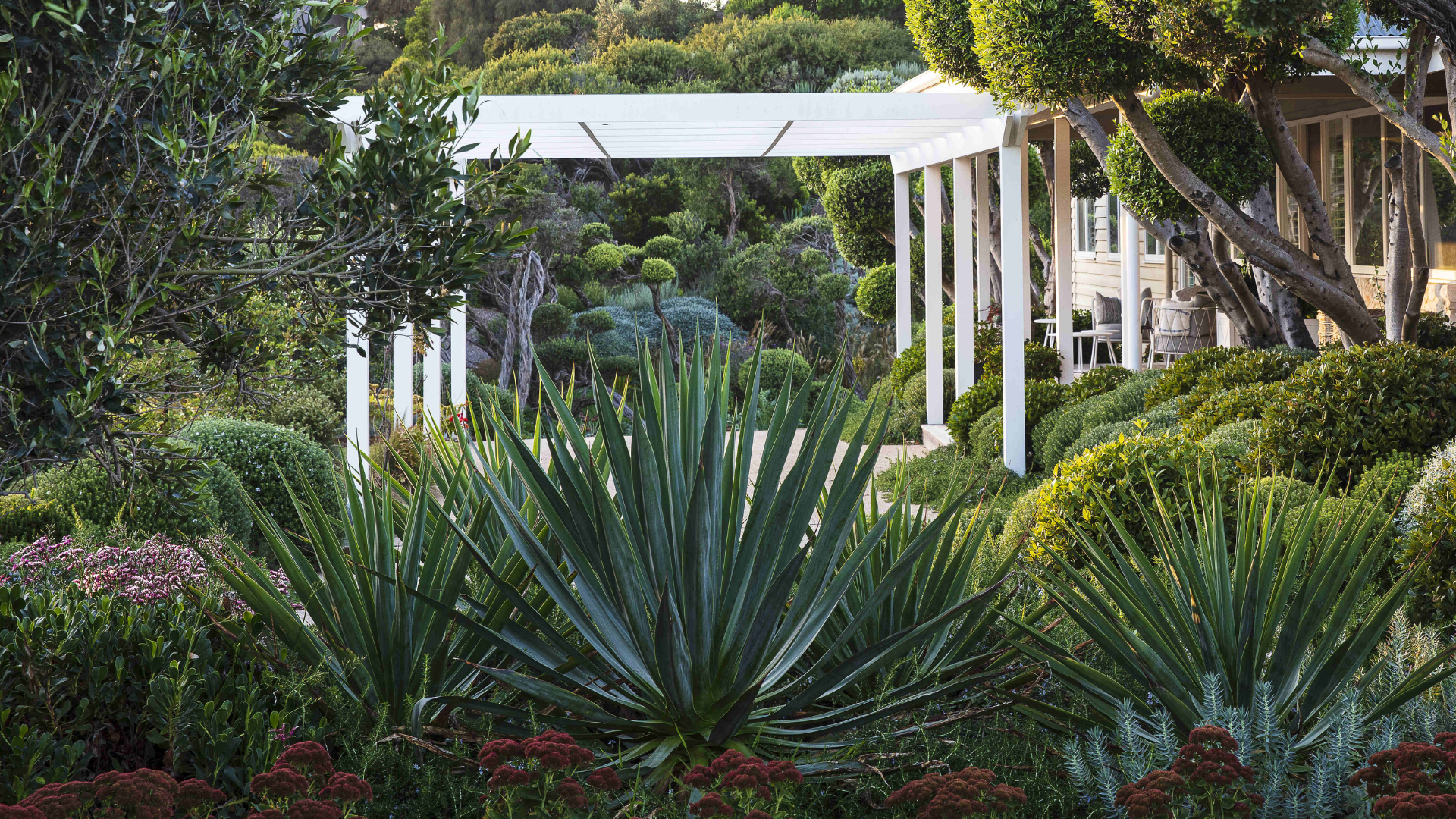 Landscape of the Year - Jane Jones Landscapes Portsea Project