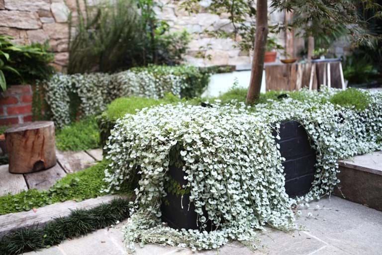 Landscape of the Year (Joint Winner)