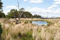 Landscape of the Year (2017)