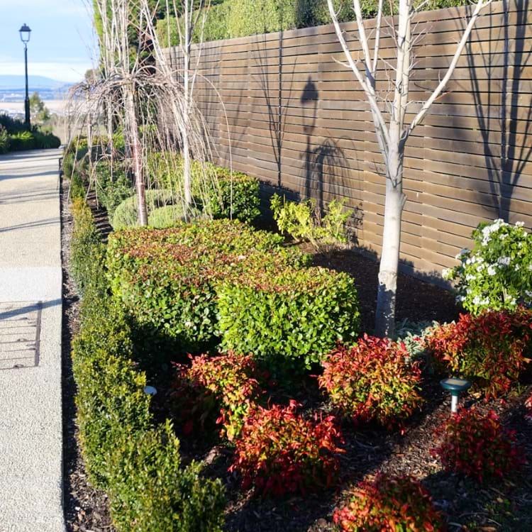 Native Space - Mickleham Project, Bronze, 2025 Commercial Landscape Maintenance | Landscaping Victoria