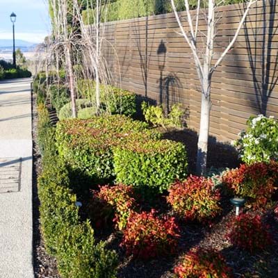Native Space - Mickleham Project, Bronze, 2025 Commercial Landscape Maintenance | Landscaping Victoria