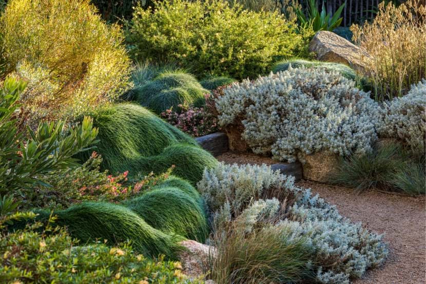 Ocean Road Landscaping - Fairhaven Project Softscaping in the Landscape | Landscaping Victoria