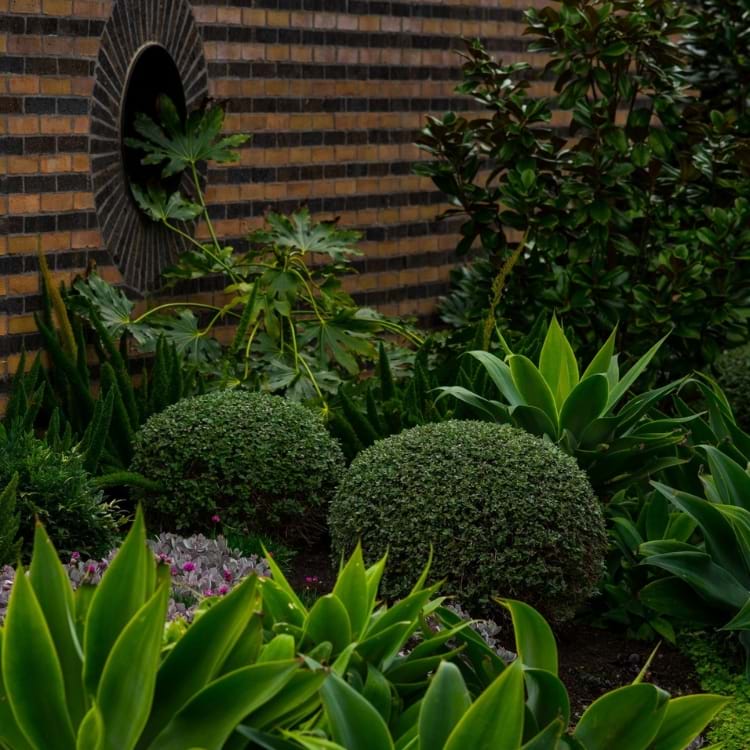 Peter Christopher Gardens - Hawthorn Project, Residential Landscape Maintenance | Landscaping Victoria