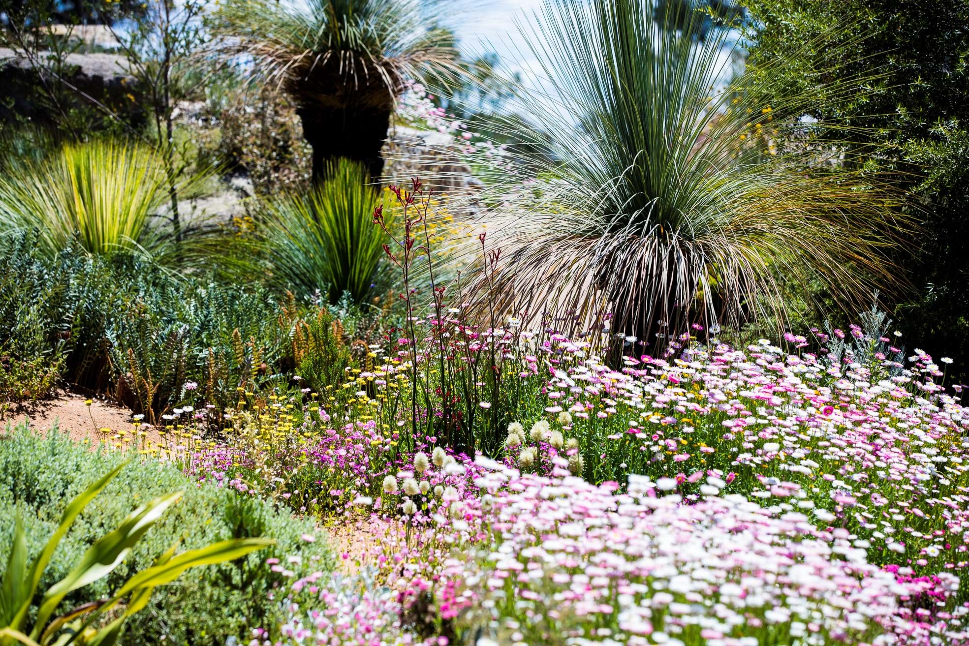 Landscaping Victoria Master Landscapers