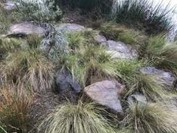 The Sustainable Landscape - Australian Ecosystems