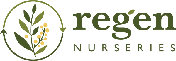 Regen Nurseries