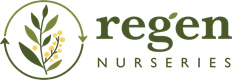 Regen Nurseries