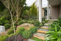 Landscape Management & Maintenance - Residential