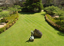Landscape Management & Maintenance - Commercial