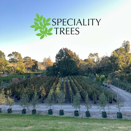 Speciality Trees | Landscaping Victoria Members