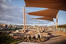 Sustainable Landscape