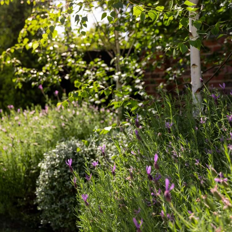 Your Voice in Government: Sustainable Landscapes, Fair Regulation​​​​​​​ | Landscaping Victoria