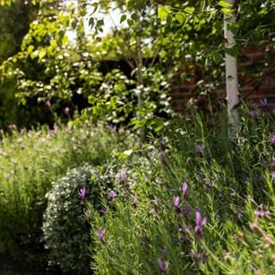 Your Voice in Government: Sustainable Landscapes, Fair Regulation | Landscaping Victoria